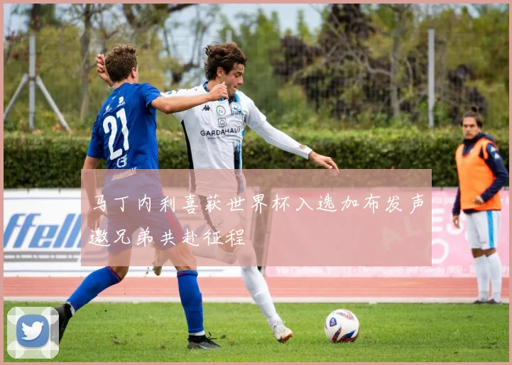 马丁内利喜获世界杯入选加布发声邀兄弟共赴征程